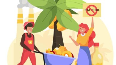 palm oil producing industry concept 23 2148788114