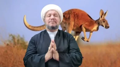 لحم الكنغر
