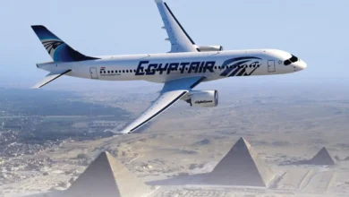 متطلبات السفر على مصر للطيران
