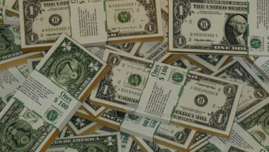 Numerous bundles of US one dollar bills symbolizing wealth, finance, and savings.