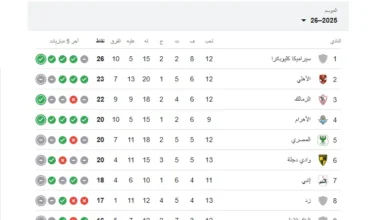 الدوري المصري