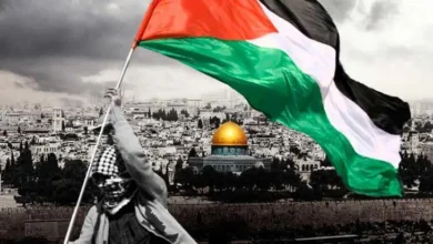 القضية الفلسطينية2
