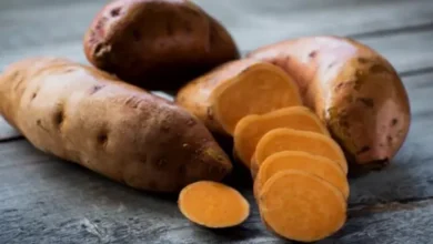 فوائد البطاطا في الشتاء المفيد نيوز