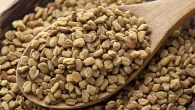 هل الحلبة تسبب غازات