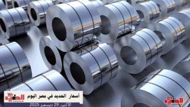 أسعار الحديد في مصر اليوم الاثنين 29 ديسمبر 2025