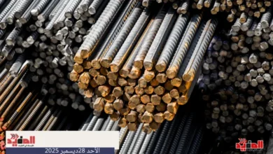 أسعار الحديد في مصر اليوم الاحد 28 ديسمبر 2025