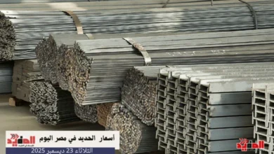 أسعار الحديد في مصر اليوم الثلاثاء 23 ديسمبر 2025