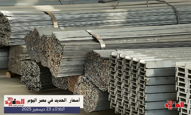 أسعار الحديد في مصر اليوم الثلاثاء 23 ديسمبر 2025