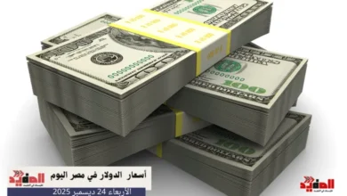 أسعار الدولار في مصر اليوم الأربعاء 24 ديسمبر 2025