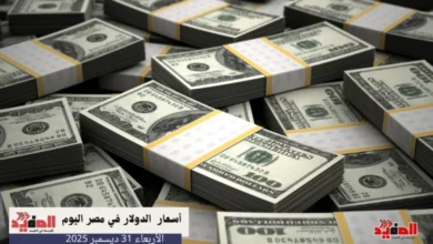 أسعار الدولار في مصر اليوم الأربعاء 31 ديسمبر 2025