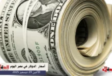 أسعار الدولار في مصر اليوم الاثنين 29 ديسمبر 2025