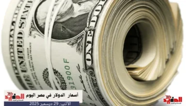 أسعار الدولار في مصر اليوم الاثنين 29 ديسمبر 2025