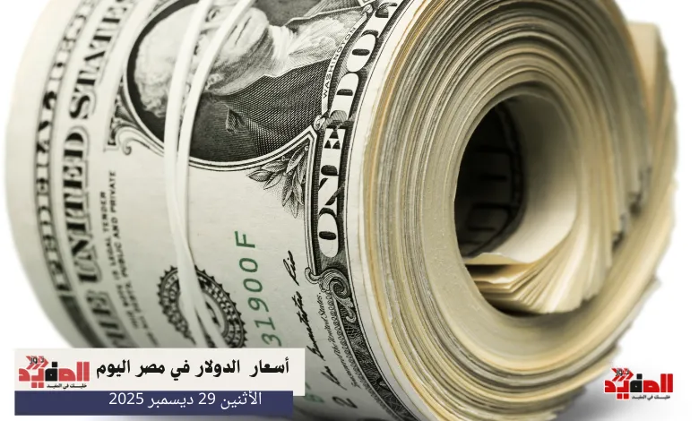 أسعار الدولار في مصر اليوم الاثنين 29 ديسمبر 2025