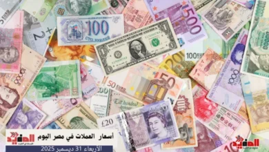 أسعار العملات في مصر اليوم الأربعاء 31 ديسمبر 2025