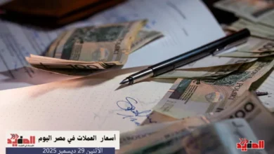 أسعار العملات في مصر اليوم الاثنين 29 ديسمبر 2025