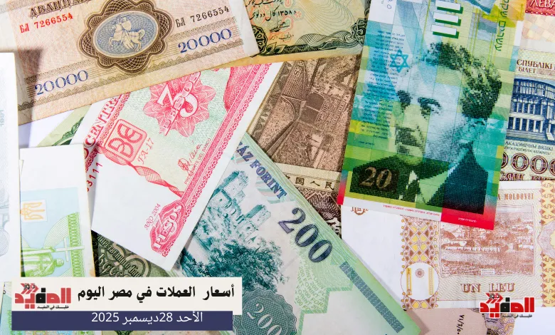 أسعار العملات في مصر اليوم الاحد 28 ديسمبر 2025