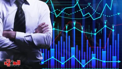 أهمية الاستثمار المحلي في دعم الاقتصاد