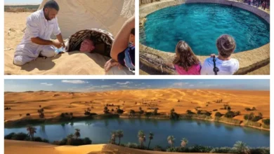 السياحة العلاجية في مصر