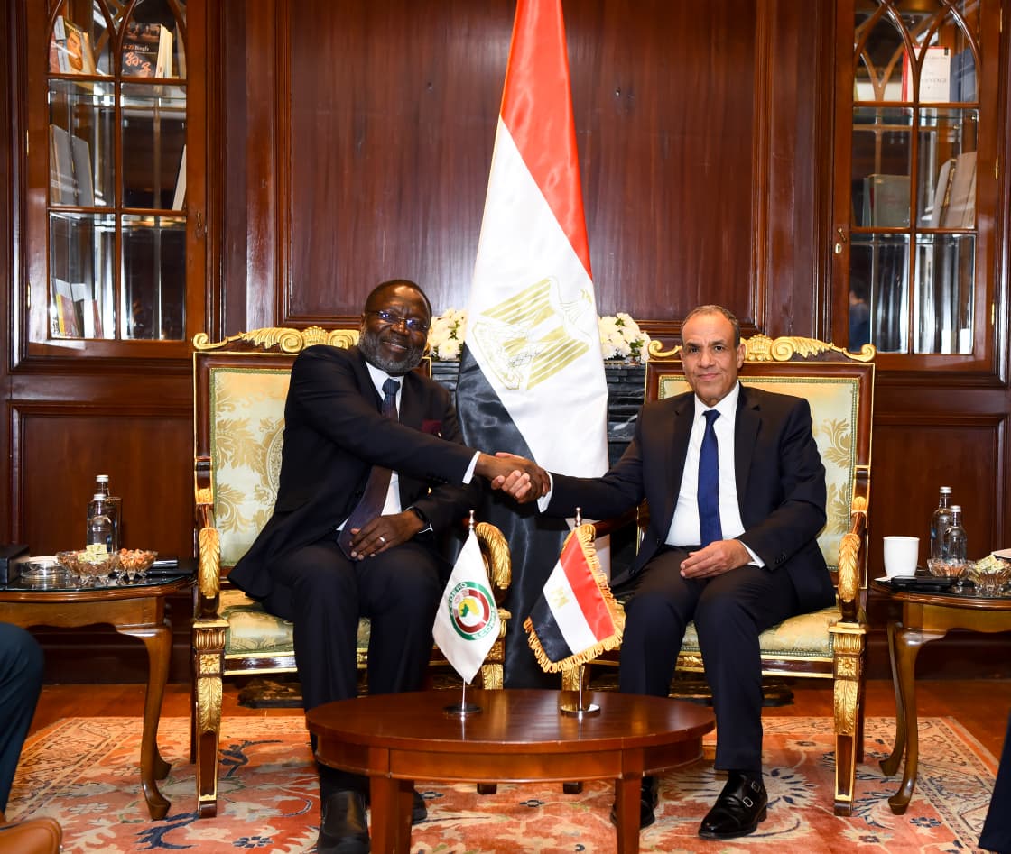 تحرّك دبلوماسي مصري لافت في أفريقيا