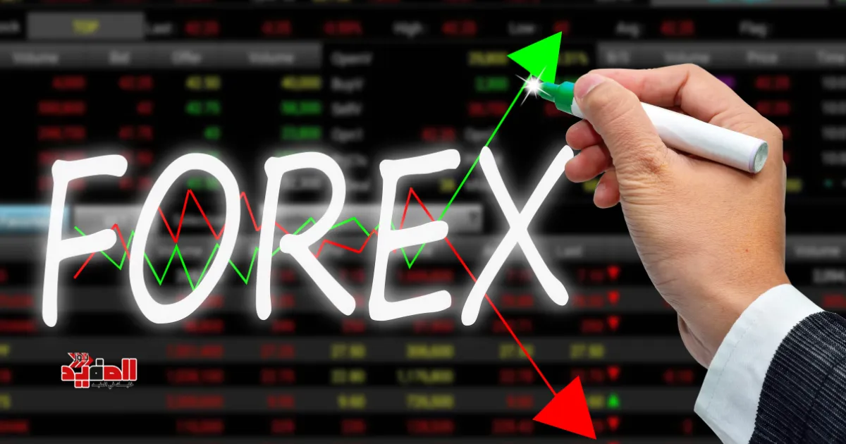 شركة forex com نصابة
