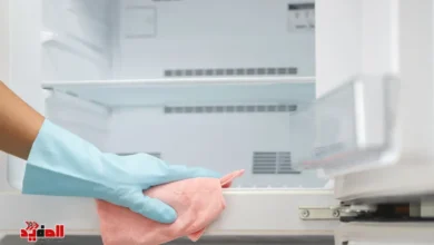 غسيل التلاجة بدون روائح