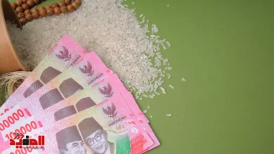 هل يجوز إخراج زكاة المال في شنط رمضان