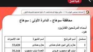 حسم المقعد بعد أصوات الخارج.. «الوطنية للانتخابات» تعلن النتيجة النهائية للإعادة في الدائرة الأولى بسوهاج