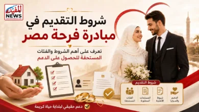 شروط مبادرة فرحة مصر