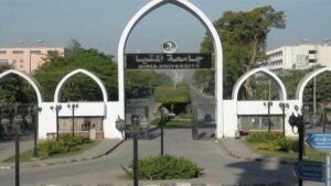 3 ملايين خدمة طبية و97.4 ألف عملية جراحية.. حصاد استثنائي لمستشفيات جامعة المنيا خلال