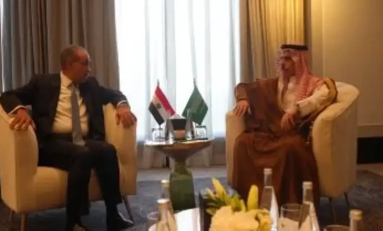 عبد العاطي ونظيره السعودي يبحثان تطورات إيران وغزة.. ويؤكدان توسيع الشراكة الاستراتيجية بين القاهرة والرياض