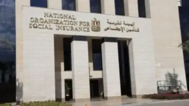 ضمانات جديدة لحماية مستحقات أصحاب المعاشات والمؤمن عليهم.. ماذا نص قانون التأمينات؟
