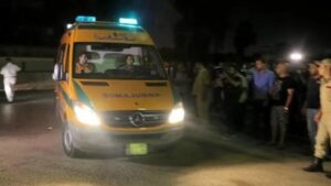 وجبة كشري منزلي تصيب 6 أطفال ووالدتهم بقيء وإسهال في المنصورة