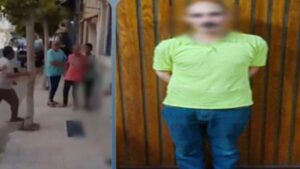 الداخلية تكشف ملابسات فيديو التعدي على سيدة بالإسكندرية.. وضبط المتهم