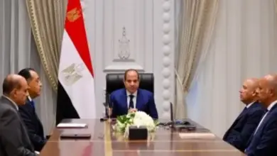 الرئيس السيسى خلال الاجتماع
