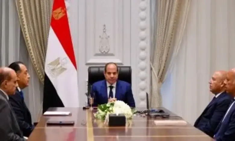 الرئيس السيسى خلال الاجتماع