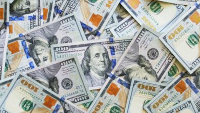 سعر الدولار في البنوك اليوم .. تحركات هادئة وترقب في السوق المصرفي
