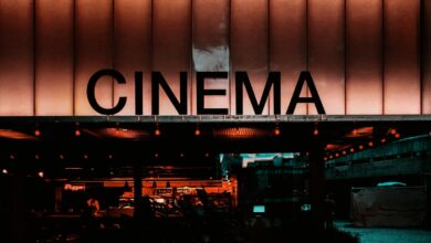 السينما ومنصات البث الرقمي