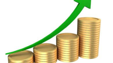 الاستثمار الأخضر وتمويل المناخ: الفرص الواعدة في الاقتصاد المستدام