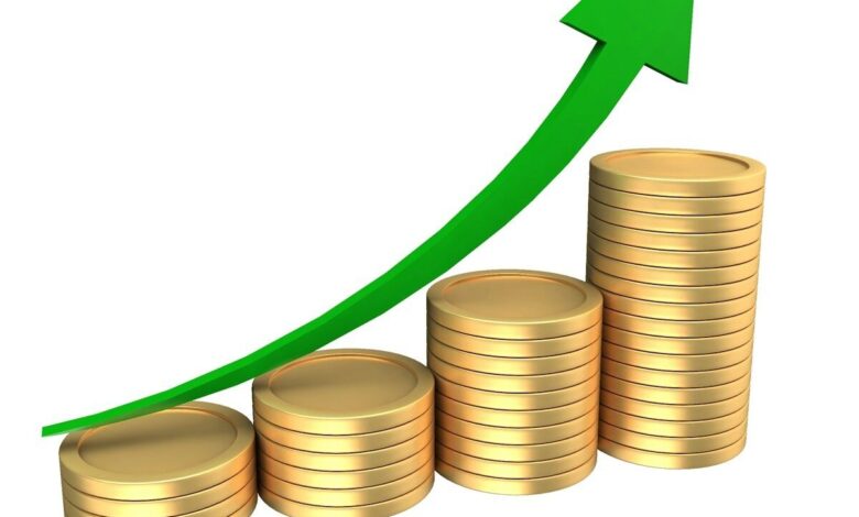 الاستثمار الأخضر وتمويل المناخ: الفرص الواعدة في الاقتصاد المستدام