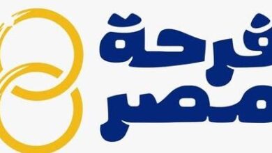 منصة "فرحة مصر": شروط وخطوات التقديم لدعم الزواج الأول