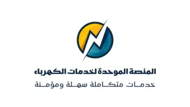 المنصة الموحدة للكهرباء.. أهم الخدمات وطريقة الاستفادة
