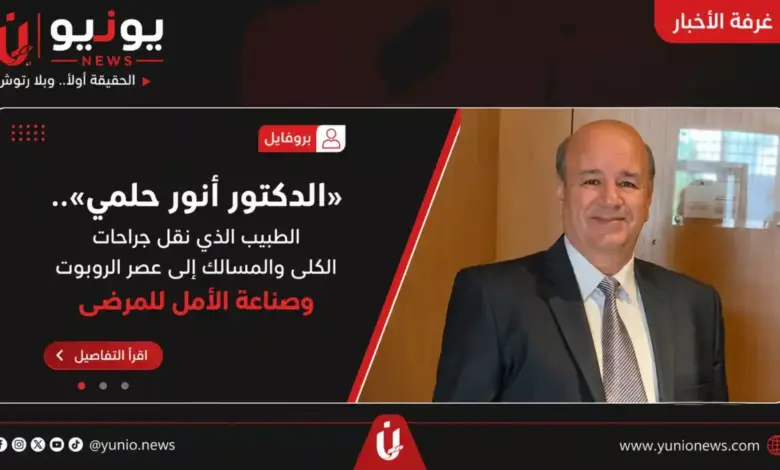 انور حلمي
