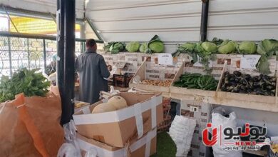 غدًا في مدينة نصر.. بازار جديد لمواجهة الغلاء بأسعار مخفضة
