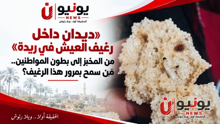«ديدان داخل رغيف العيش في ريدة».. من المخبز إلى بطون المواطنين.. مَن سمح بمرور هذا الرغيف؟