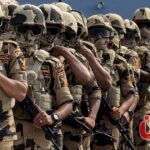 القوات المسلحة.. ما الأفرع التي تتكون منها عادة؟