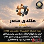 «الدولار والاستثمار والدين العام».. خبراء يضعون خريطة إنقاذ للاقتصاد المصري قبل «منتدى مصر 2026»